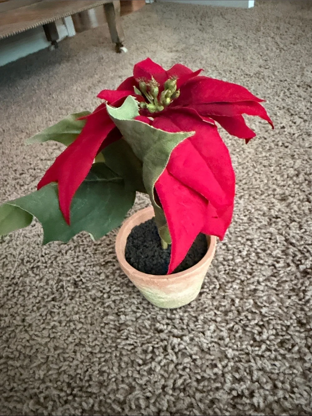 Potterybarn classic red